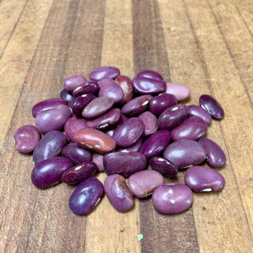 Organic Ayocote Beans ECPVAR - Kandarian Organic Farms