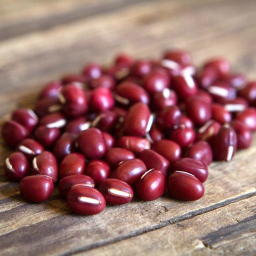 Organic Adzuki Beans ECVAA - Kandarian Organic Farms